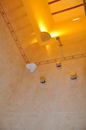 hotel shower detail